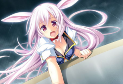 动漫美女比基尼图片,夏日风情无限绽放